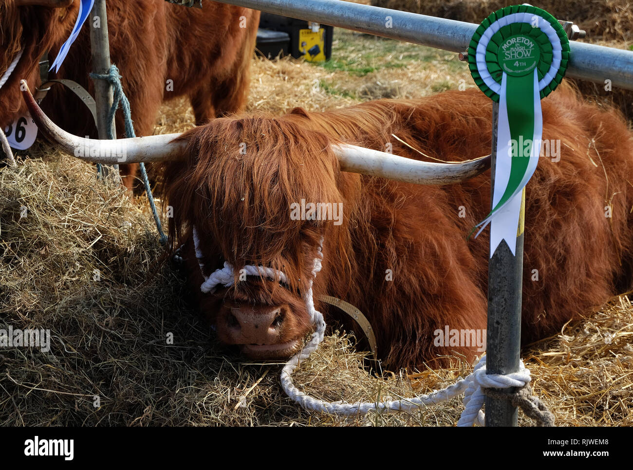 Moreton in Marsh Show 2018 Foto Stock