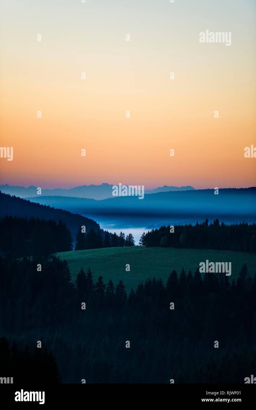 Foschia mattutina, Atmosfera mattutina, vista da Thurner, dietro le alpi svizzere, Foresta Nera, Baden-Württemberg, Germania Foto Stock