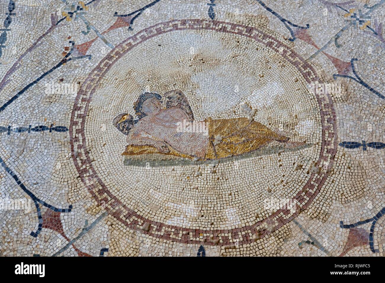 Massa romano mosaico con dio Hypnos, Risan, Baia di Kotor, provincia di Cattaro, Montenegro Foto Stock