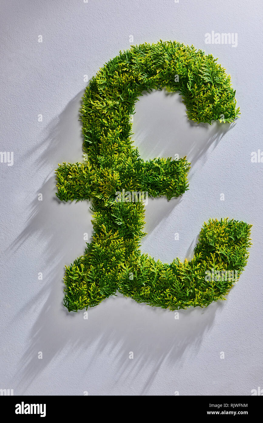 Topiaria da albero nella forma della sterlina britannica simbolo Foto Stock