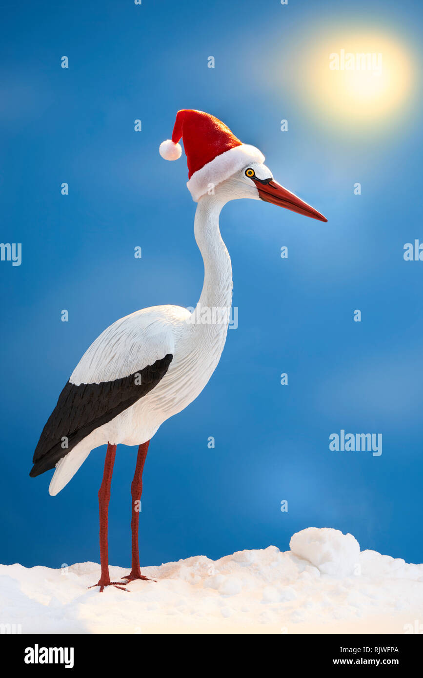 Cicogna bianca con cappello di Natale nella neve Foto Stock