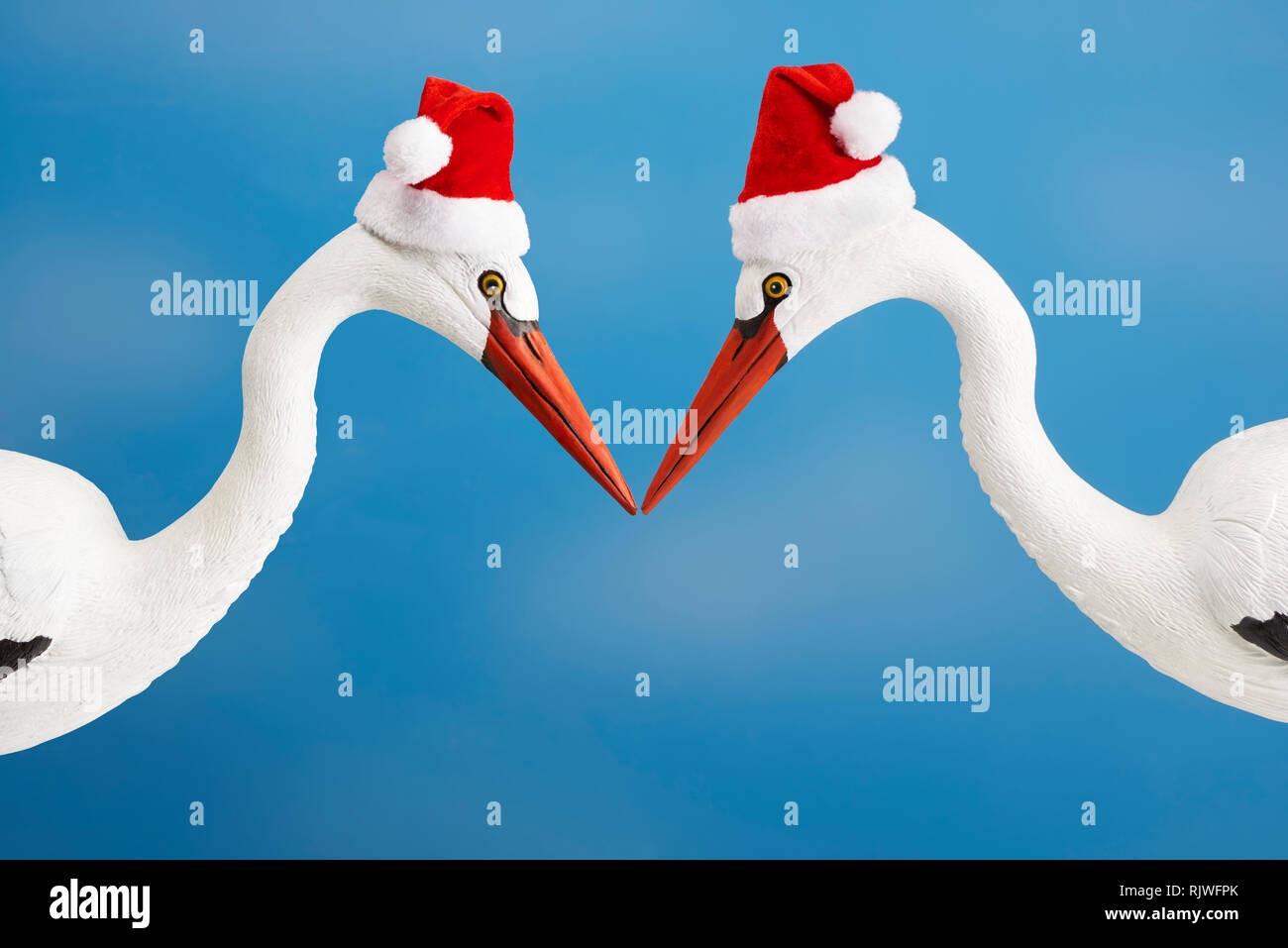 Coppia di cicogne bianche con cappelli di Natale e cielo blu Foto Stock