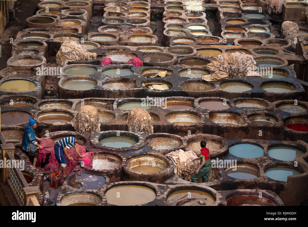 Mаn lavorando come un tanner in vecchie vasche a concerie di pelle con vernice di colore. nell'antica medina - Conceria Chouara, Fes el Bali. Fez, in Marocco Foto Stock