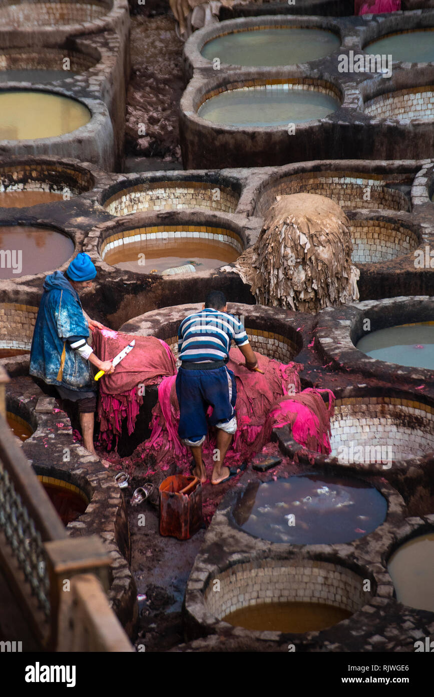 Mаn lavorando come un tanner in vecchie vasche a concerie di pelle con vernice di colore. nell'antica medina - Conceria Chouara, Fes el Bali. Fez, in Marocco Foto Stock