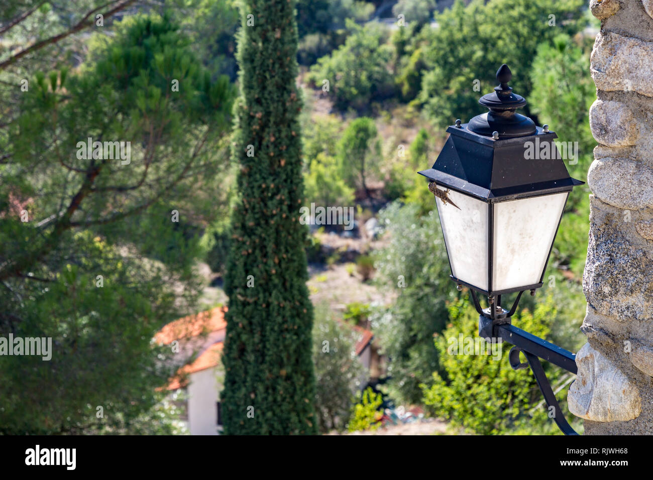Poco geco seduto su di una lanterna in Eus, un bellissimo villaggio nel sud della Francia. Foto Stock