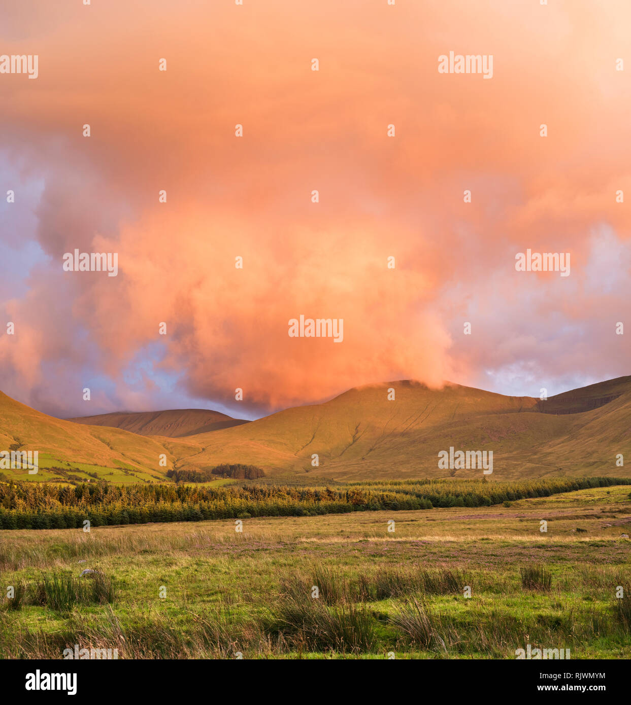 Vista verso la montagna Galty (Montagne Galtee) al tramonto dalla Glen of Aherlow, nella contea di Tipperary, Irlanda Foto Stock