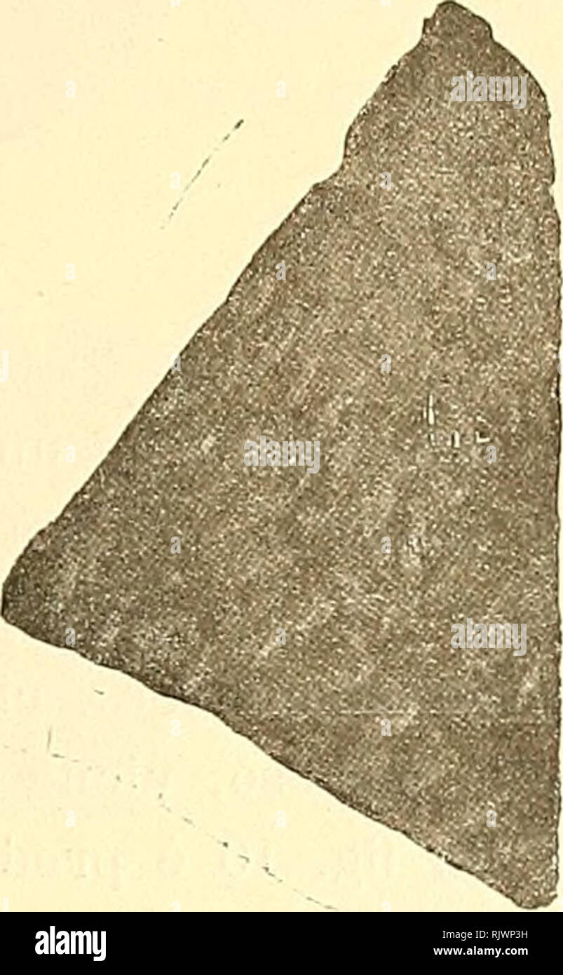 Atti della Accademia di scienze lettere e arti di Palermo. . Fig. 7. Fis:.  8. svolge la solita decorazione ad impressione (fig. 9). Di questo raro  processo, nel quale la tecnica