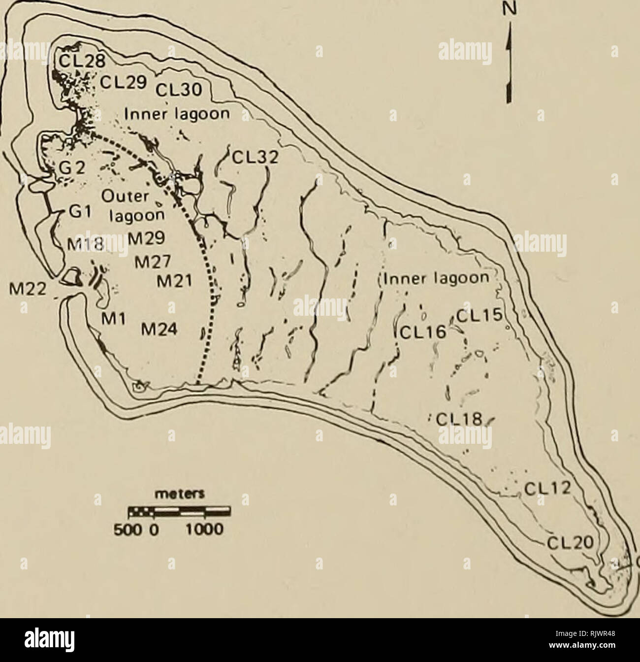 . Atollo bollettino ricerche. Le barriere coralline e le isole; biologia marina; scienze marine. 162 Introduzione Analisi dei molluschi schemi di distribuzione a ventaglio atollo ha dimostrato una chiara distinzione nella composizione delle specie e della diversità delle specie e le colture permanenti tra le scogliere Seaward e la laguna (Kay, 1971; Kay e Svizz, 1974). All'interno della laguna, le differenze tra i molluschi della laguna corallina piatta patch, barriere coralline e pavimento della laguna sono stati anche rilevati, associati con i tipi di substrato, chimica dell'acqua, e torbidità (Kay e Svizz, 1974). Tali modelli sono di interesse perché forniscono docum Foto Stock