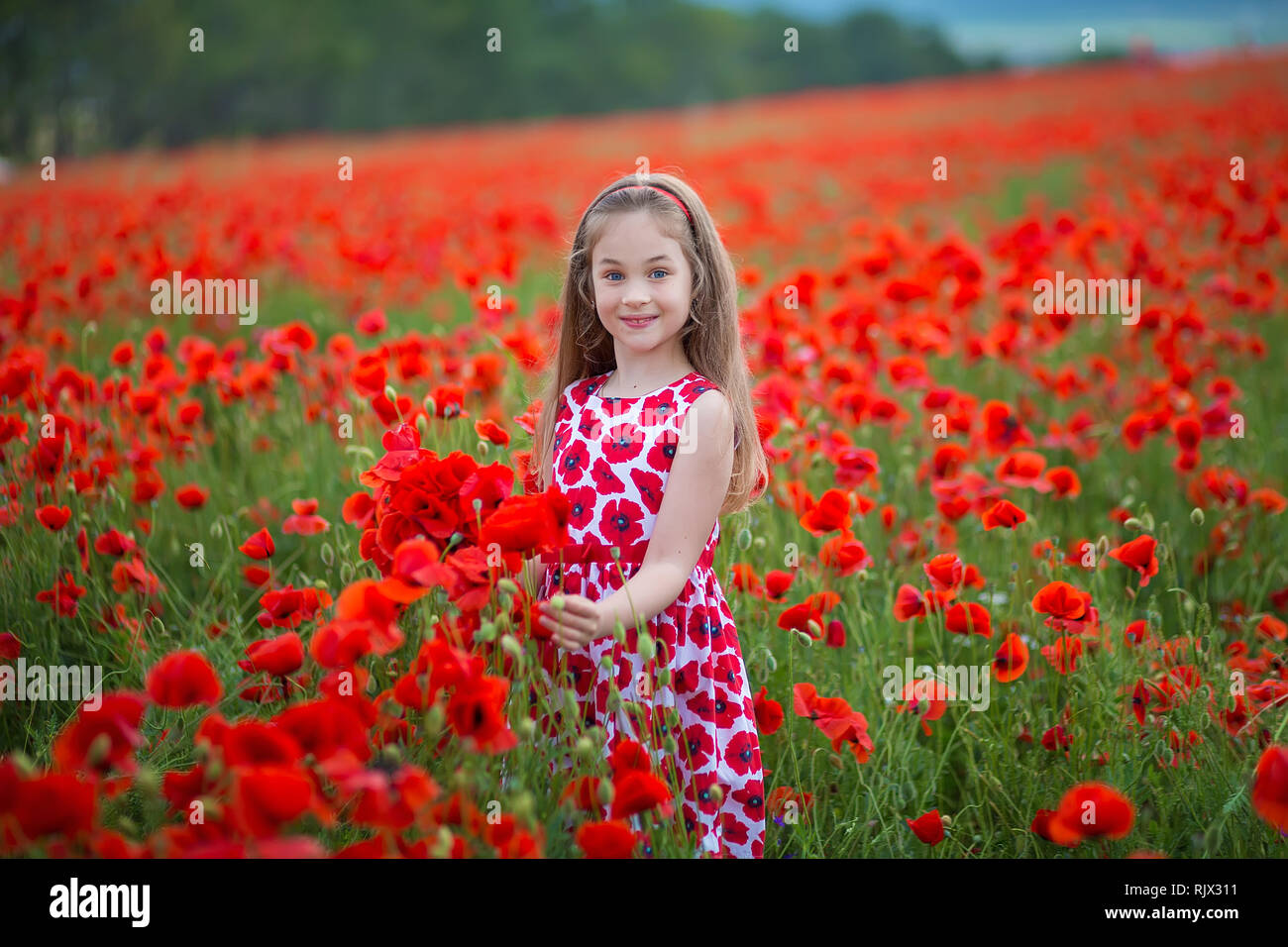 Bellezza occhi blu teen Godetevi giornate estive .carino vestito elegante ragazza nel campo di papavero. Campo di papaveri in fiore Foto Stock