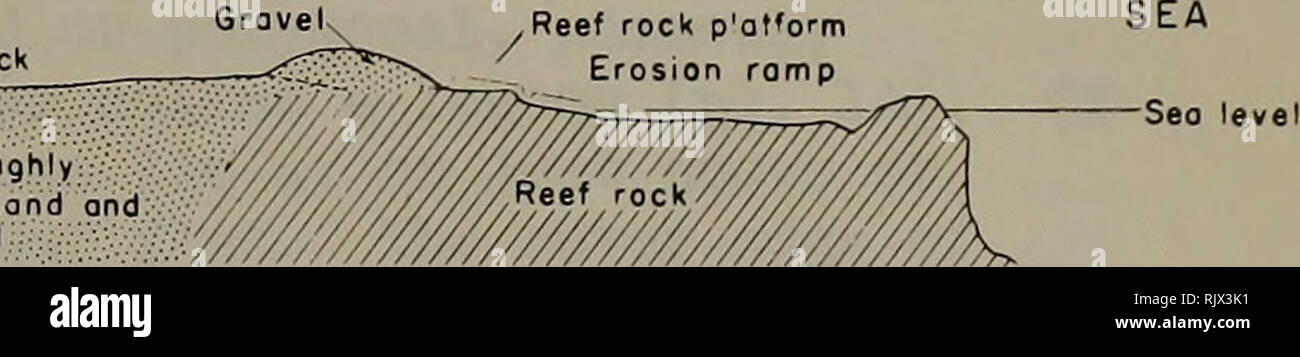 . Atollo bollettino ricerche. Le barriere coralline e le isole; biologia marina; scienze marine. Allentato o altamente consol-do'ed ond sabbia ghiaia roccia corallina p'A'ORM. Isolotto sopravento isolotto sottovento (ovest) - Beach rock di livello del mare Hard rock Soft Rock Beach rock di livello del mare' massi - rampa di erosione L-OOSp nr leggermente consol'doted sond ond strisciare isolotto sottovento (sud) sul livello del mare 2. Vista schematica con sezioni di isolette a windward e scogliere sottovento di atolli che mostra le posizioni del reef rock, materiali non consolidate, beach rock, rock Piattaforme e rampe di erosione. Si prega di notare che queste immagini vengono estratte dalla pagina sottoposta a scansione Foto Stock