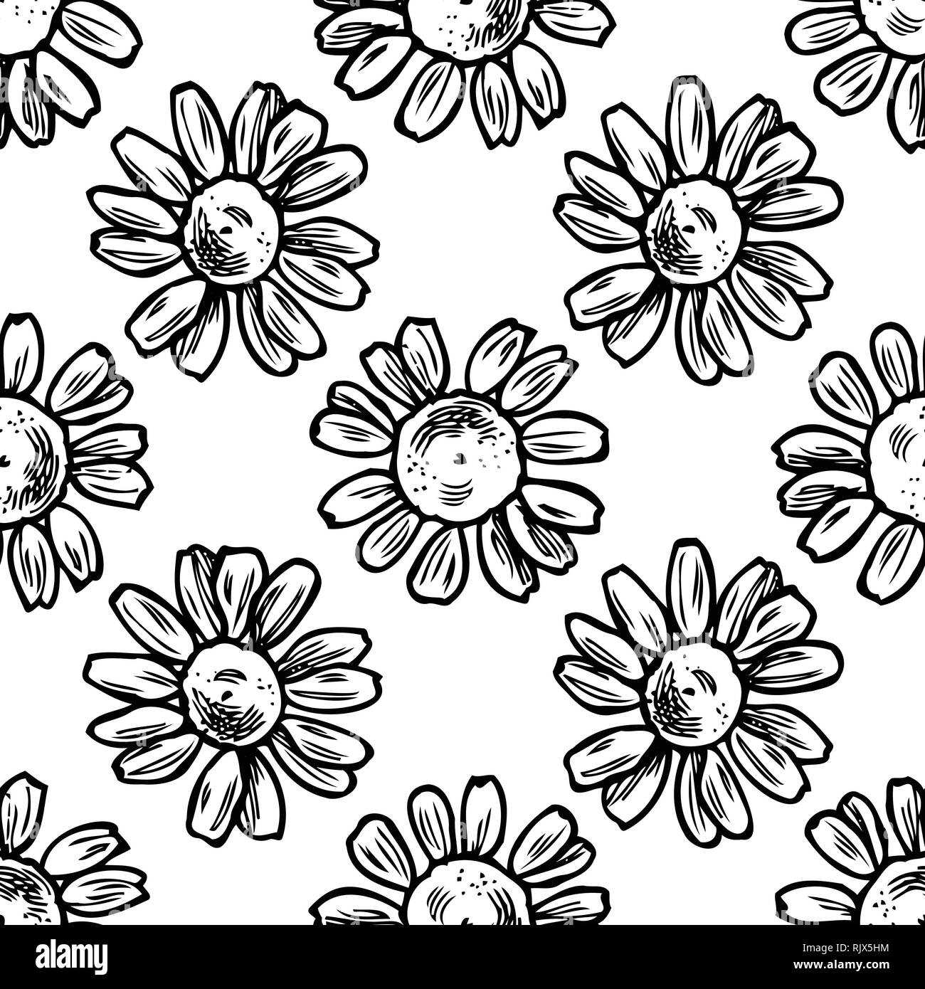 Modello senza soluzione di continuità con il bianco e nero camomilla Illustrazione Vettoriale