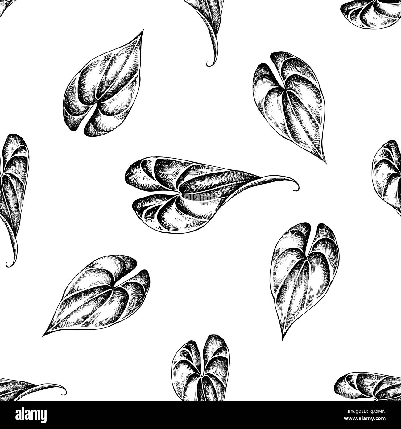 Modello senza soluzione di continuità con il bianco e nero philodendron, foglie di banana Illustrazione Vettoriale