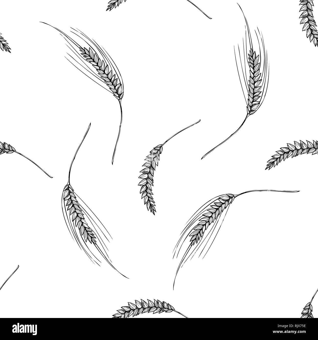 Modello senza soluzione di continuità con il bianco e nero della segala Illustrazione Vettoriale