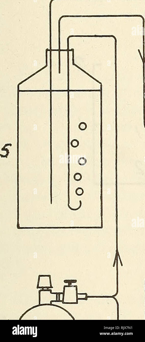 . Atollo bollettino ricerche. Le barriere coralline e le isole; biologia marina; scienze marine. 15. W7 V fM ; r K ; K i =R&GT; '00 râr r ? / &Gt; K / K v 7 â &gt; -f- .^ 000 VN/VVVVVVVVVV 000 J..J Fig. 3. A flusso passante del sistema sperimentale. 1 - flusso-attraverso cellule; 2 - metallo-involucro di vetro; 3 - principale pompa peristaltica; 4 - ausiliario della pompa peristaltica; 5 - principale di alimentazione di acqua di mare; 6 - ossigeno o serbatoio di elio; 7 - approvvigionamento nutriente flaconi di soluzione; 8 - miscelazione intermedia navi.. Si prega di notare che queste immagini vengono estratte dalla pagina sottoposta a scansione di immagini che possono essere state migliorate digitalmente per la leggibilità - colora Foto Stock