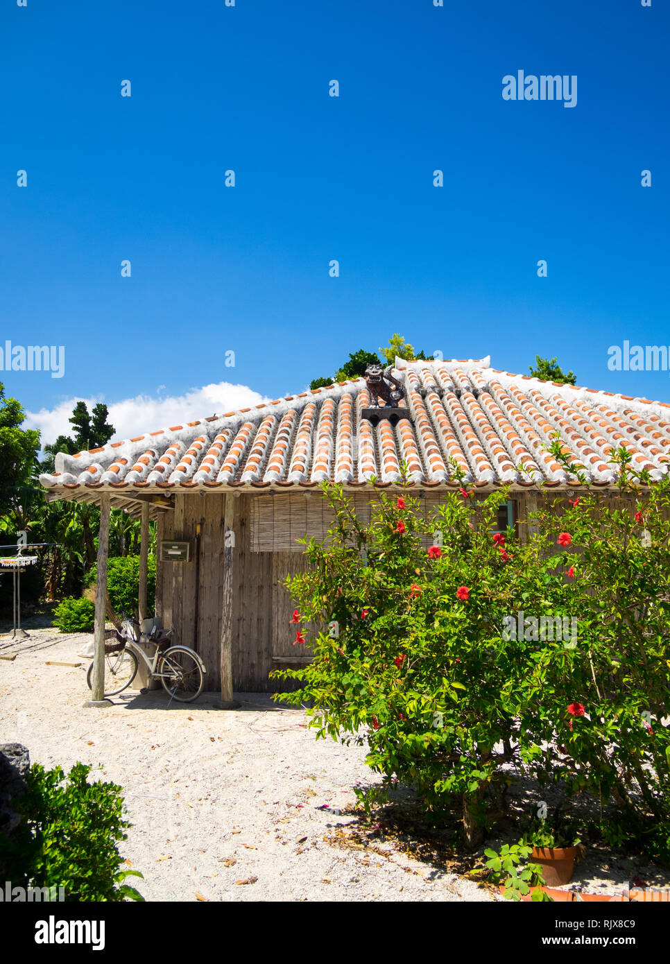 Una tradizionale casa di Okinawa (Ryukyuan casa) con distinte terracotta tegole rosse e shisa statua sul tetto. Di Taketomi, Isole Yaeyama, Giappone. Foto Stock