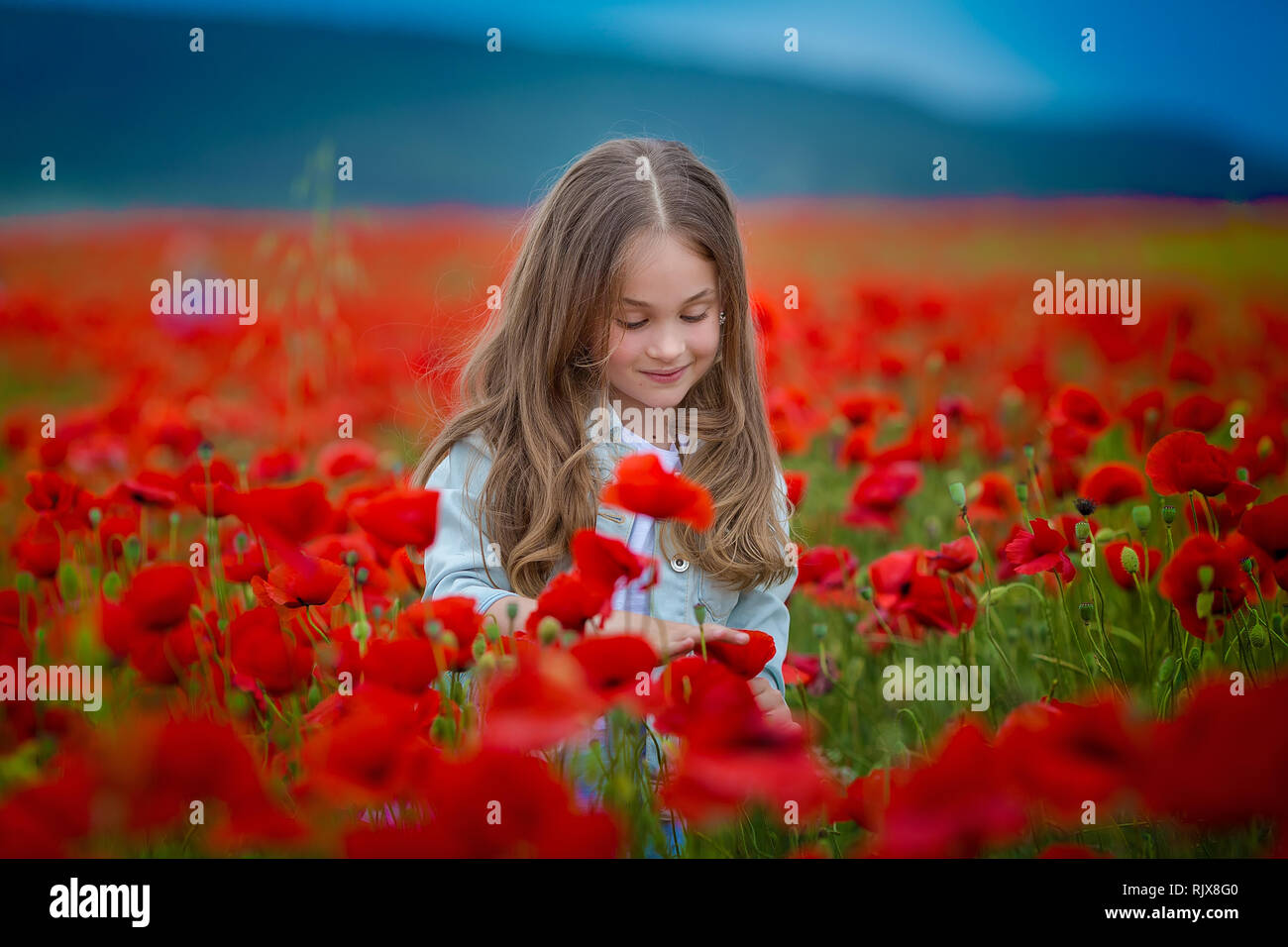 Bellezza occhi blu teen Godetevi giornate estive .carino vestito elegante ragazza nel campo di papavero. Campo di papaveri in fiore Foto Stock