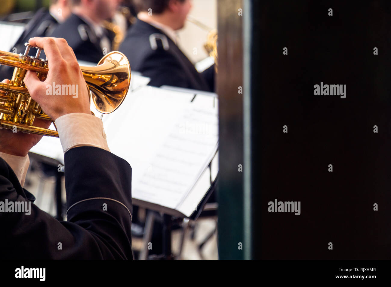 L'uomo suonare uno strumento musicale in un concerto al coperto evento Foto Stock