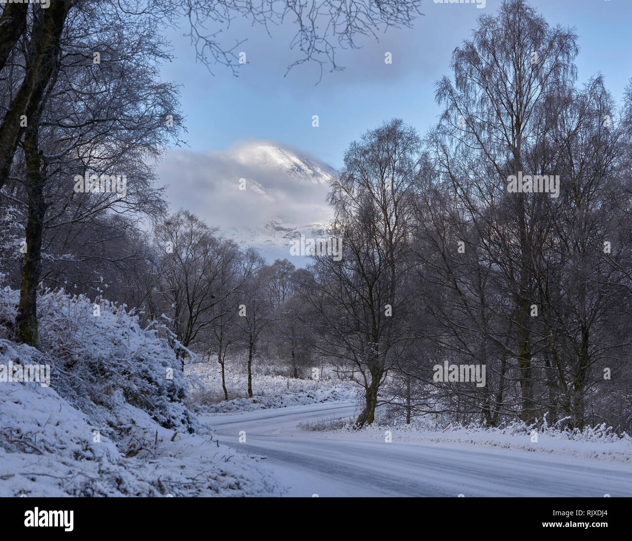 Vista di Ben Venue nel Trossachs su un croccante di inverni di giorno. Foto Stock