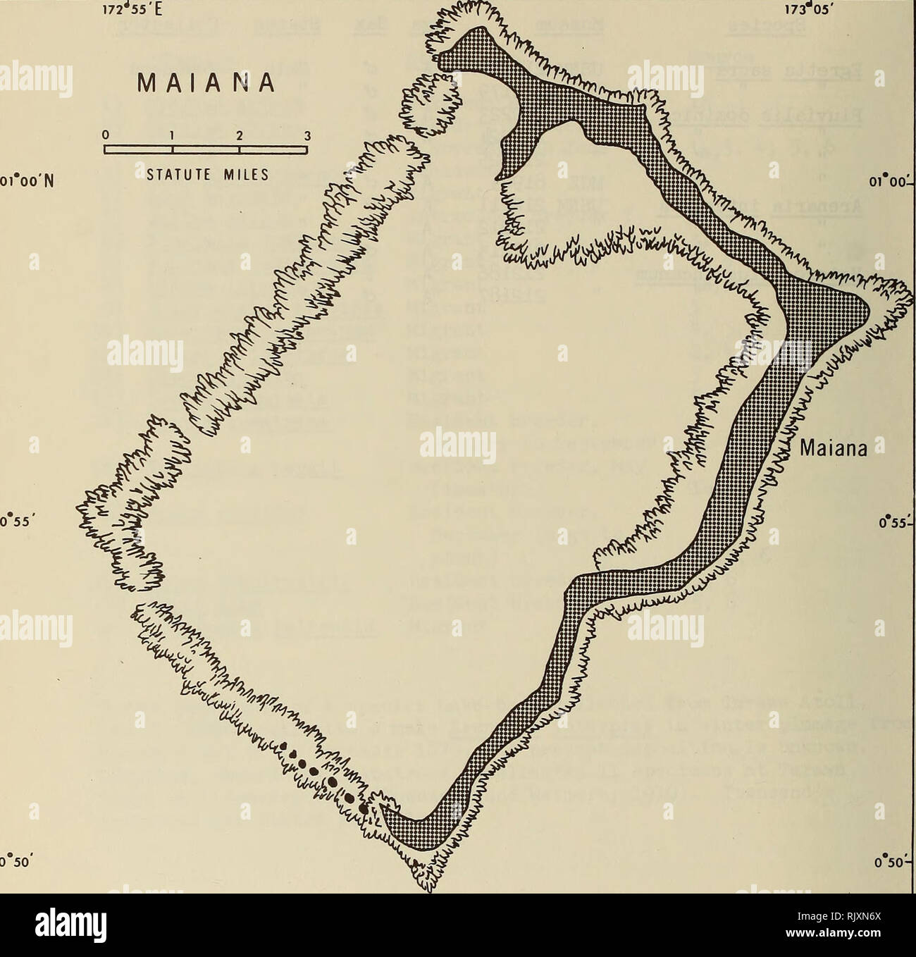 . Atollo bollettino ricerche. Le barriere coralline e le isole; biologia marina; scienze marine. 172J55"e gli UFO' -oi'oo' N M al A N A 01 00-. -0 50 172,55 173,00 173,05. Si prega di notare che queste immagini vengono estratte dalla pagina sottoposta a scansione di immagini che possono essere state migliorate digitalmente per la leggibilità - Colorazione e aspetto di queste illustrazioni potrebbero non perfettamente assomigliano al lavoro originale. Smithsonian Institution. Premere; Consiglio Nazionale delle Ricerche (brevetto statunitense n. S. ). Il Pacific Science Board; Smithsonian Institution; il Museo Nazionale di Storia Naturale (brevetto statunitense n. S. ); Stati Uniti. Ufficio di presidenza dello sport della pesca e della fauna selvatica. Lavaggio Foto Stock
