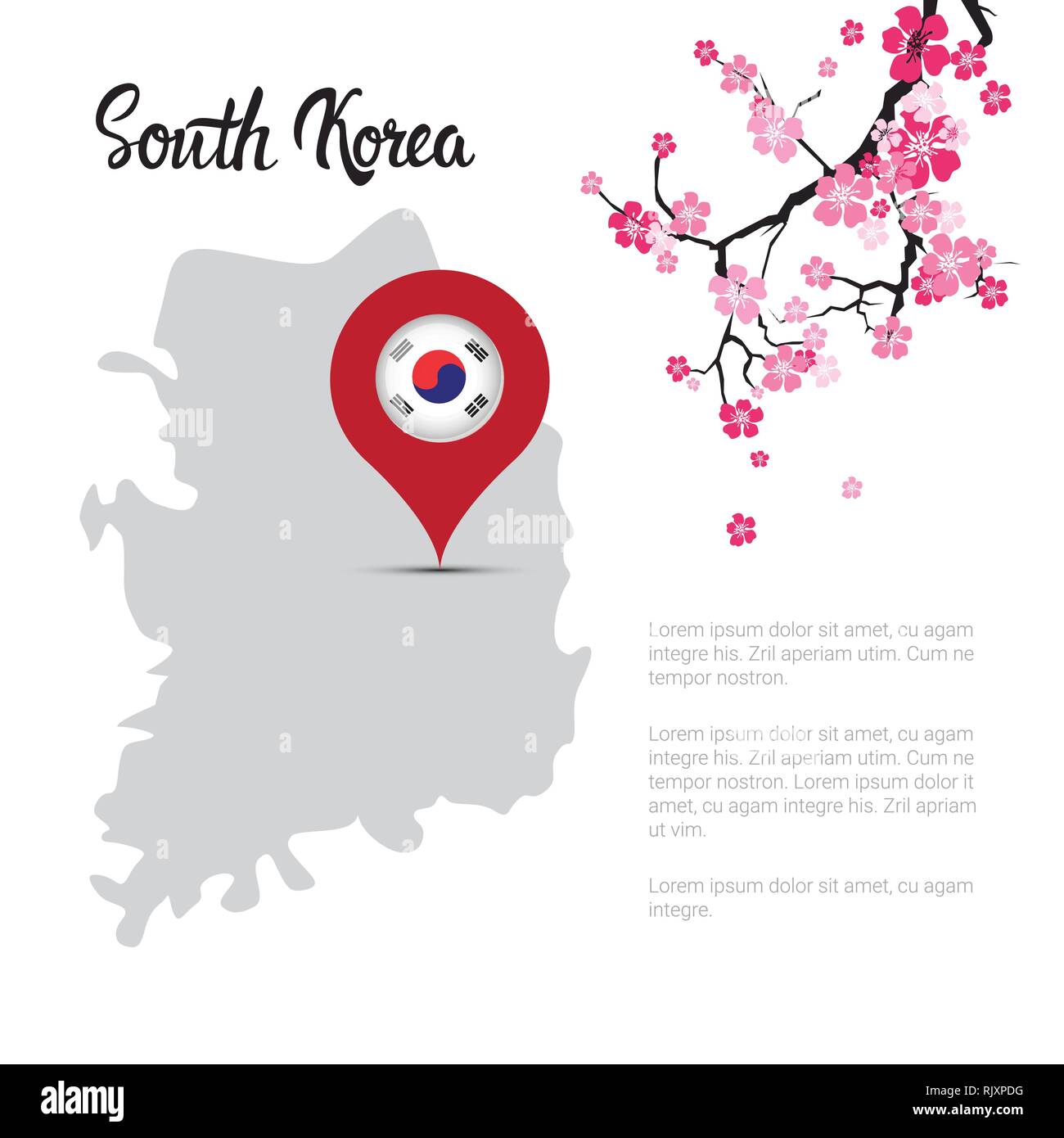 Corea del Sud Mappa Bandiera coreana puntatore bellissimo fiore di Sakura ramo modello di decorazione Banner con spazio di copia Illustrazione Vettoriale