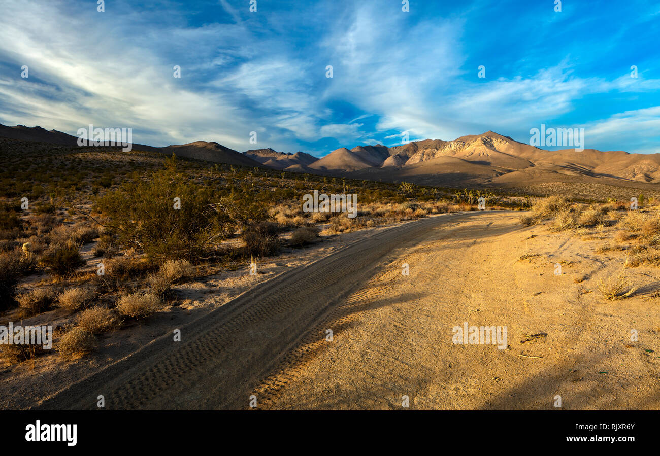 Deserto Mojave paesaggio e strada sterrata, California, Stati Uniti d'America. Foto Stock