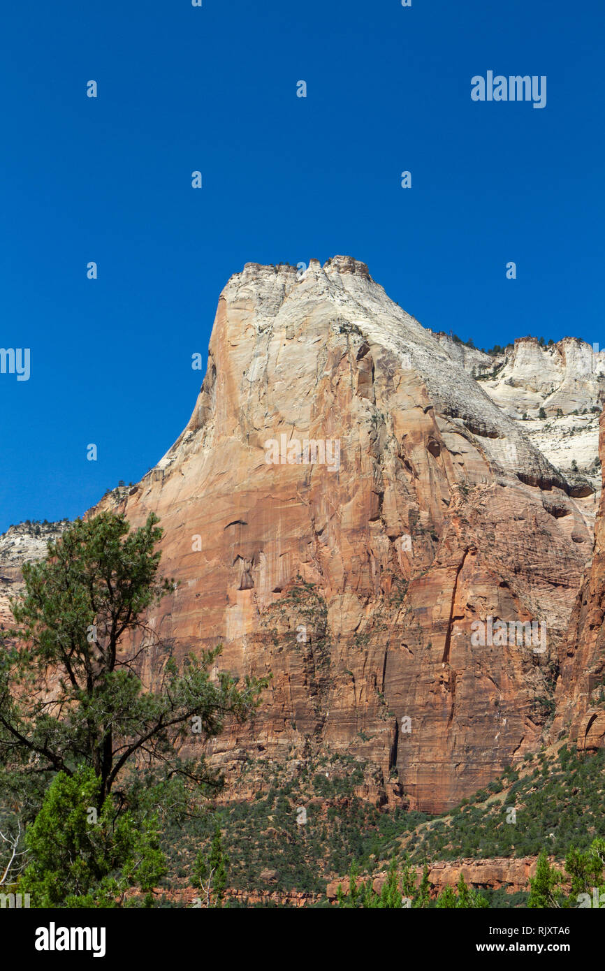 Picco di Abramo, uno della Corte dei patriarchi picchi, Parco Nazionale Zion, springdale, Utah, Stati Uniti. Foto Stock