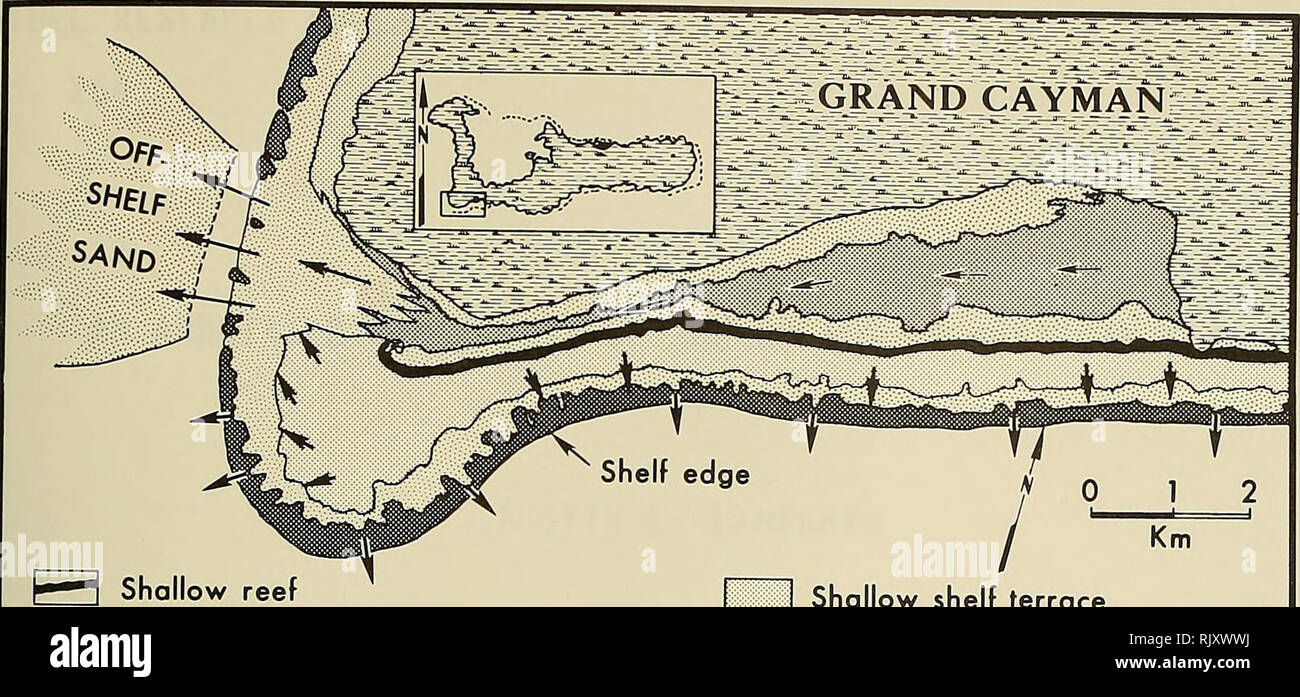 . Atollo bollettino ricerche. Le barriere coralline e le isole; biologia marina; scienze marine. Shallow reef sedimento (dominantemente sabbia) Margine di ripiano reef dge f 0 i / Km I. di ripiano poco profonda terrazza ho... :::,L fanghi lagunari e pavimento di roccia La Figura 13. Dissipatori di sedimenti e i percorsi di trasporto associati con il sud fianco occidentale di Grand Cayman Island (Sud Sound e ripiano di adiacenti zone). Le frecce indicano che il trasporto del sedimento direzioni.. Si prega di notare che queste immagini vengono estratte dalla pagina sottoposta a scansione di immagini che possono essere state migliorate digitalmente per la leggibilità - Colorazione e aspetto di queste illustrazioni possono n Foto Stock