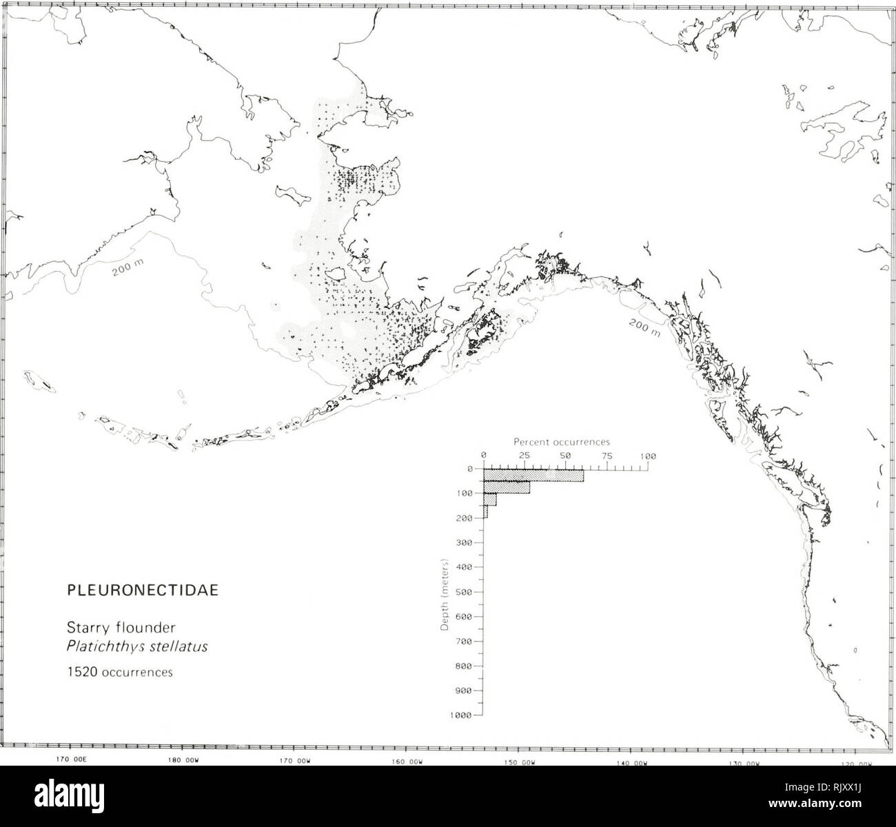 . Atlas e faunistica di pesci comuni nel Mare di Bering e nel Nordest Pacifico / M. James Allen, Gary B. Smith. I pesci del mare di Bering la distribuzione geografica.. Stellato, Passere artiche Platichthys stellatus Pallas (1787): Pleuronettidi Righteye letteratura passere segnalati da Corea e il Mare di Okhotsk a nord di Bathurst ingresso nell'Artico Canadese, sud nel mare di Bering, a ovest di Isola di attu nelle isole aleutian e a sud-est di Los Angeles Harbor, California (Wilimovsky 1964; quast e Hall 1972; Hart 1973; Lee et al. 1980; clacson e Allen 1981). Trovati 120 km fino ai fiumi per profondità di 300 Foto Stock