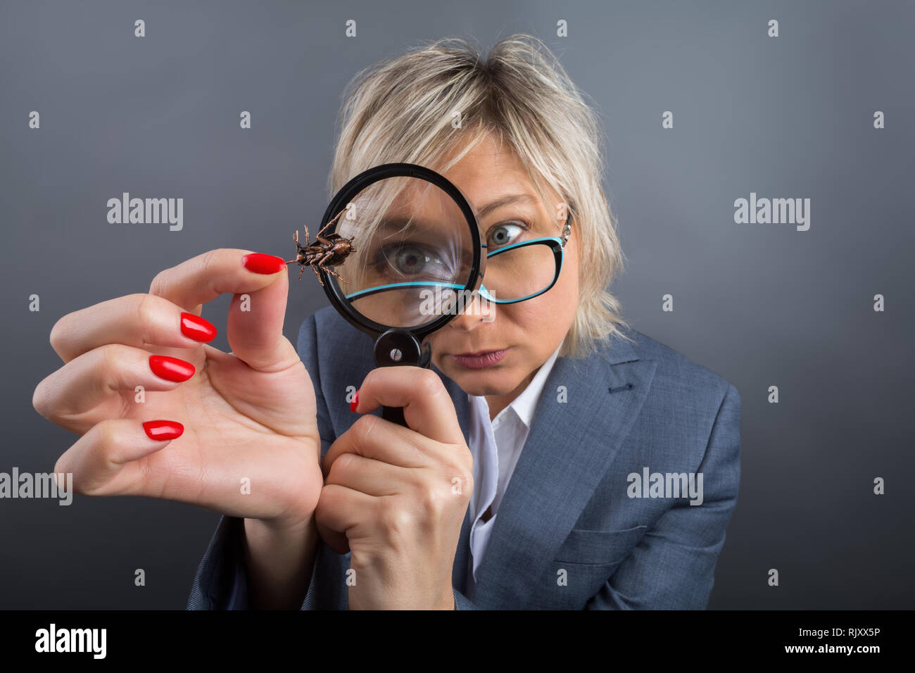 Ritratto di una bionda 40s donna, un botanico insegnante in un abito grigio e turchese occhiali con una lente di ingrandimento, chi è alla ricerca di un insetto su un livello di grigio Foto Stock