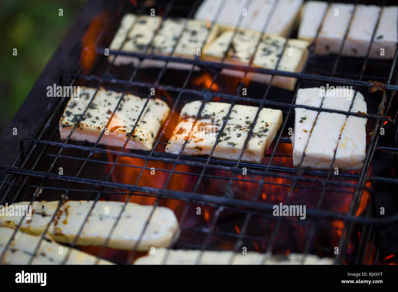 Halumi formaggio alla griglia Foto Stock