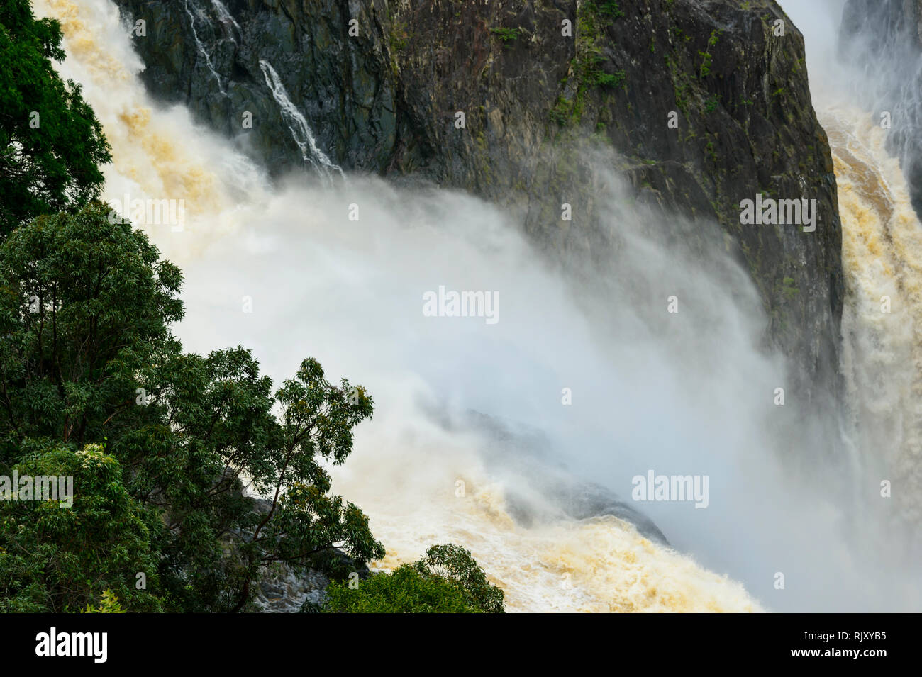 Vista di roaring Barron cade in pieno diluvio durante il monsone, Kuranda, estremo Nord Queensland, FNQ, QLD, Australia Foto Stock