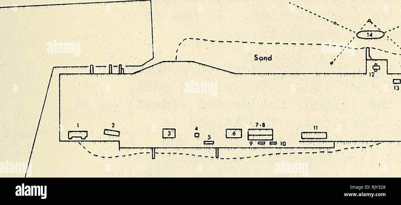 . Atollo bollettino ricerche. Le barriere coralline e le isole; biologia marina; scienze marine. 13 NAVAL AIR FACILITY Edificio Propoied posizioni non estraibile, RN. A.B.-N 1-109 Dicembre 15, 1943. 1 Misc Shop BIdg 2 RecreotJon &AMP; Sloroge Bldg. 3 Ouonset Hul Caserma Cootrpl 4 Torre 5 LoMndry 6 Evaporotor Bldg. 7-S Mess Hall &AMP; Galley 9-10 ".300 Gal. La metropolitana Woler serbatoi 11 del magazzino 12 Rador torre 13 BOO 14 YHB 10 figura 9- Tern Island Naval Air Facility, 15 dicembre 1914.3. Ridisegnato da ufficiale U. S- Navy blueprint mappa.. Si prega di notare che queste immagini vengono estratte dalla pagina sottoposta a scansione immagini che m Foto Stock