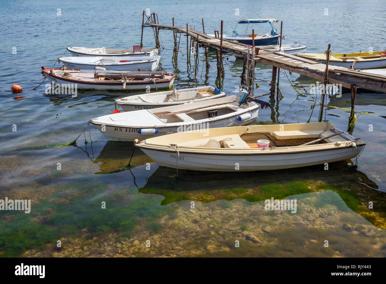 Pontile con barche ormeggiate. Parenzo in Istria, Croazia. Foto Stock