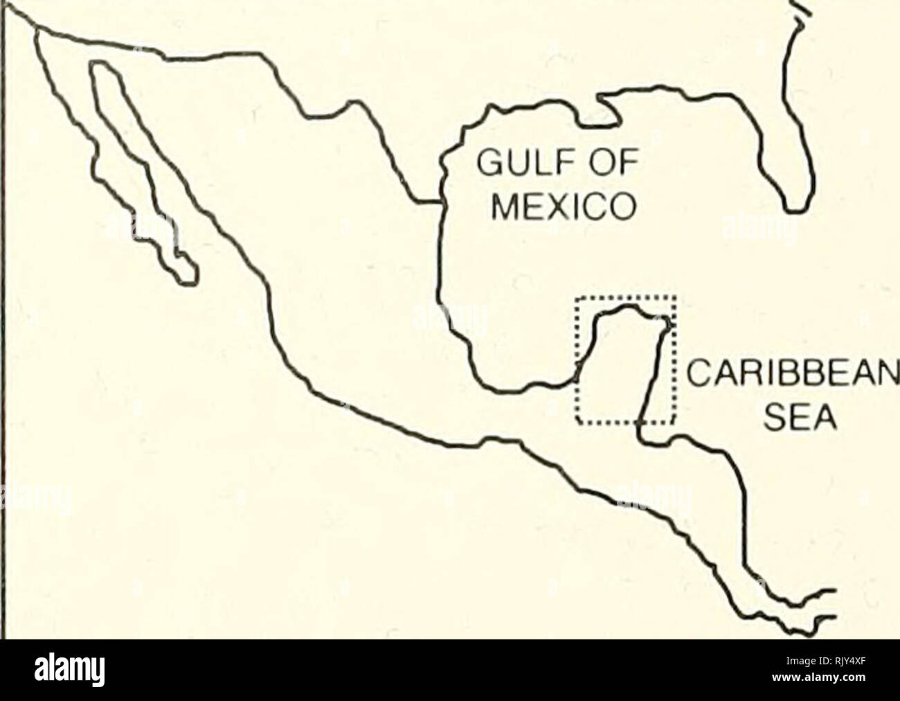 . Atollo bollettino ricerche. Le barriere coralline e le isole; biologia marina; scienze marine. ARRECIFE ALACRANES 100 M,-vJ CAYO ARENAS. Si prega di notare che queste immagini vengono estratte dalla pagina sottoposta a scansione di immagini che possono essere state migliorate digitalmente per la leggibilità - Colorazione e aspetto di queste illustrazioni potrebbero non perfettamente assomigliano al lavoro originale. Smithsonian Institution. Premere; Consiglio Nazionale delle Ricerche (brevetto statunitense n. S. ). Il Pacific Science Board; Smithsonian Institution; il Museo Nazionale di Storia Naturale (brevetto statunitense n. S. ); Stati Uniti. Ufficio di presidenza dello sport della pesca e della fauna selvatica. Washington, D. C. : [Smithsonian Pr Foto Stock