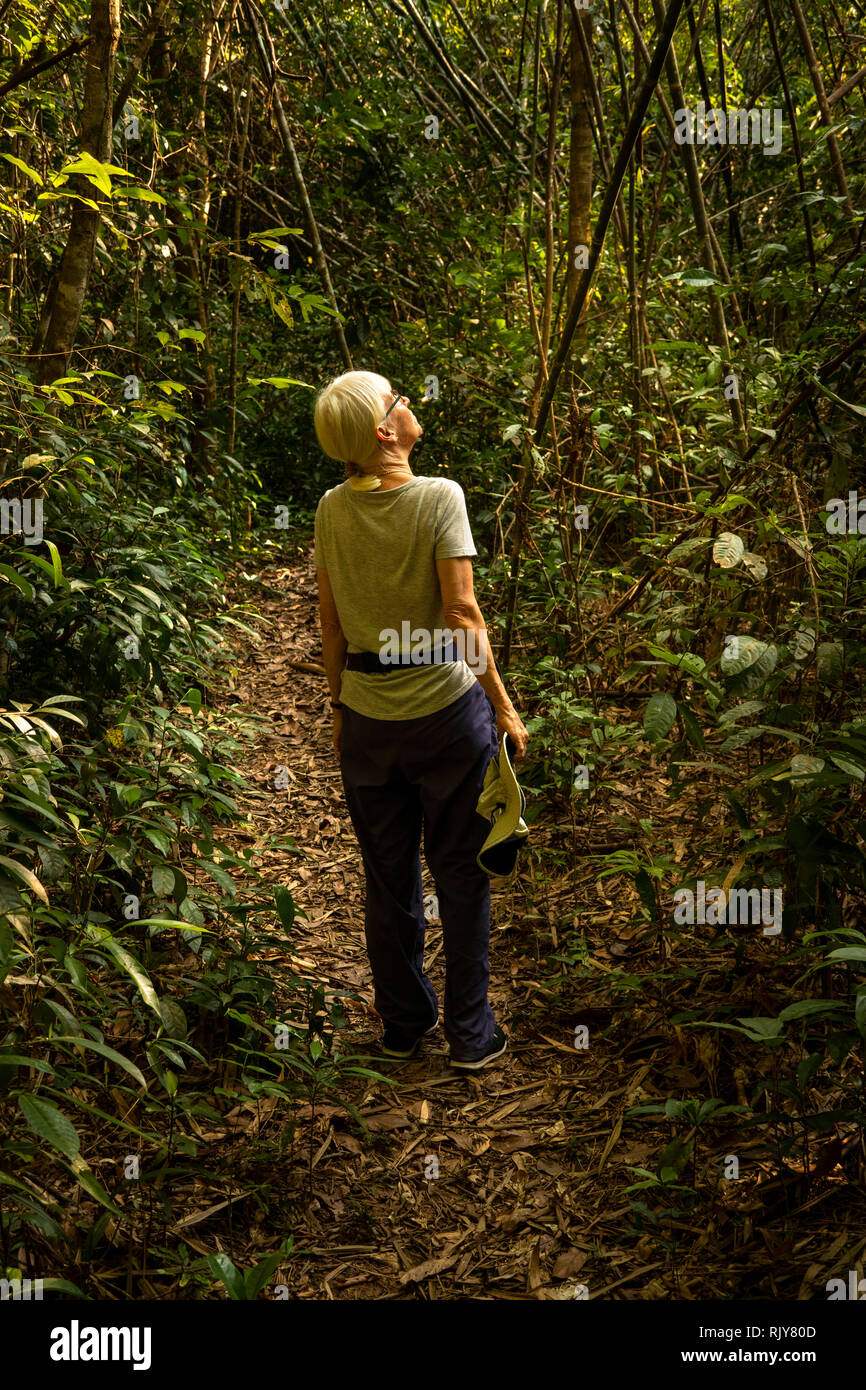 Cambogia, Koh Kong Provincia, Tatai, Rainbow Lodge resort, senior visitatore femmina sulla foresta sentiero natura percorso Foto Stock