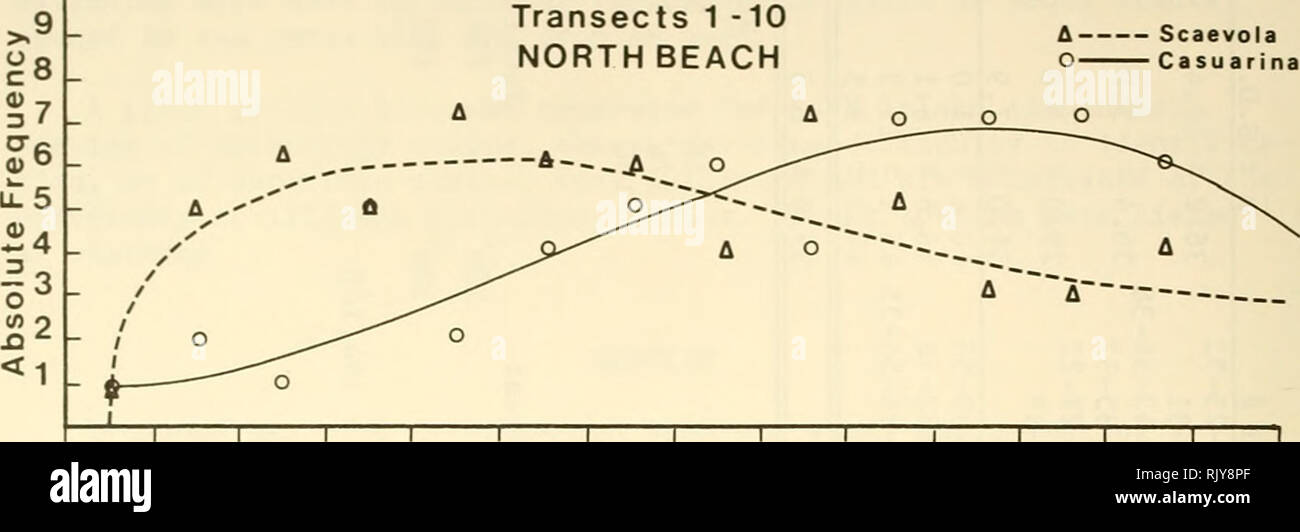 . Atollo bollettino ricerche. Le barriere coralline e le isole; biologia marina; scienze marine. La figura 2. Frequenza di impianto in funzione della distanza della navigazione da Foredune Origine: 10^ un *9.- seca 1 -10 NORTH BEACH UN Scaevola o Casuarina. Io ho r 0 2 4 6 Foredune -i r- -i 1 1 1 1 1 1 1 r 8 10 12 14 16 18 20 22 24 26 Distanza (m) 10  B. Seca 11 - 20 9 WEST BEACH 8 o 7 ^^° 6 5 o &gt;S. O 4 /V "o" Un ^^ O a 3 &gt;V NNA^ /T 2 -Un fl A O 1 - ( I ) 2 I 4 l 6 I 8 l i i I I I I I L I 10 12 14 16 18 20 22 24 26 Seca 21-30 SOUTH BEACH. Si prega di notare che queste immagini vengono estratte dalla pagina sottoposta a scansione immagini che m Foto Stock