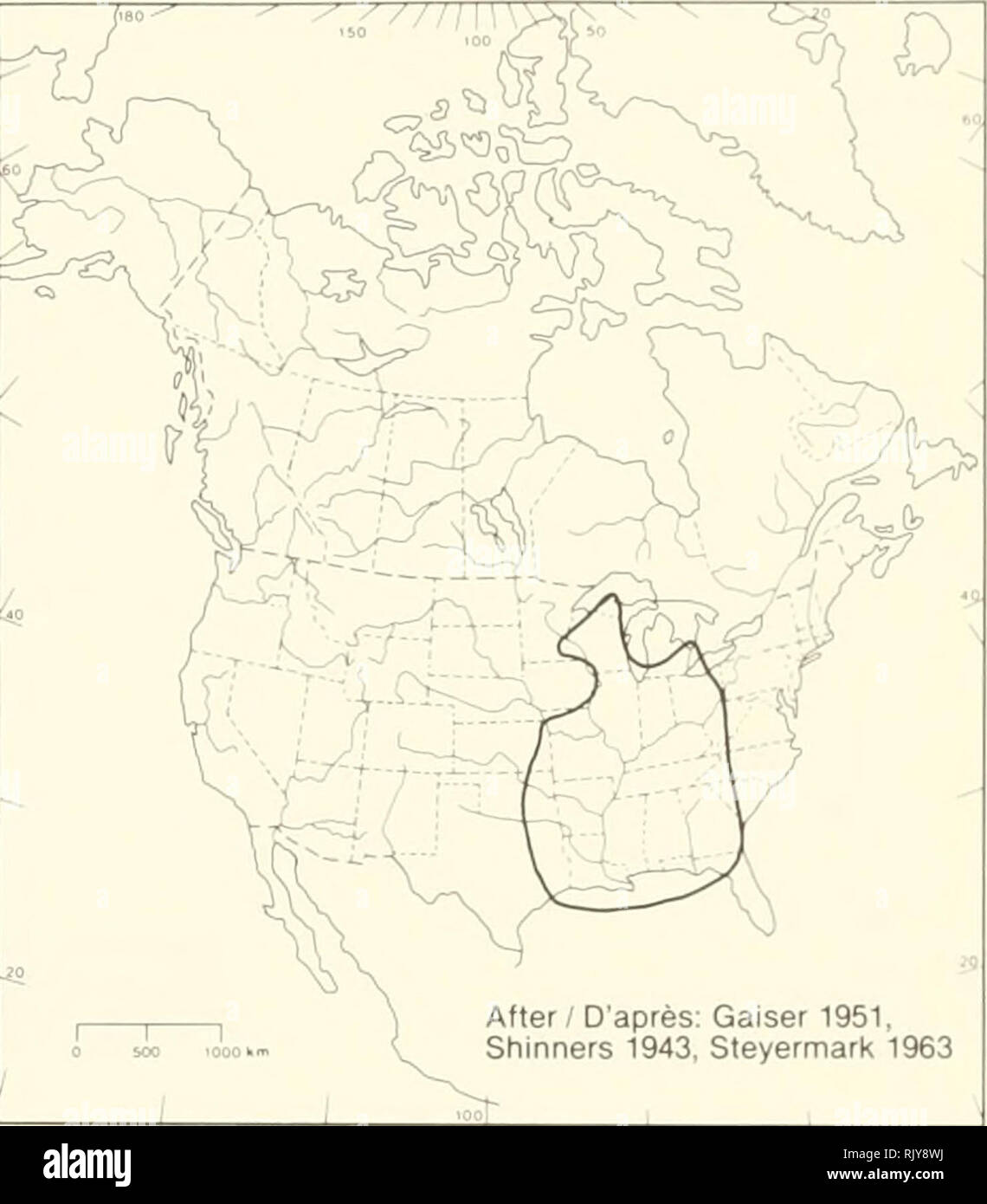 . Atlas delle rare piante vascolari di Ontario. Piante rare; Botanica. Campioni / SpÃ©cimens può, DAG. Prosciutto, Mich, OAC, PFM, QK, SLU, TRT. UWO, WLU OPre 1925 0 1925-1949 Â" 1950-1964 m post 1964. Dopo / D'aprÃ¨s: Gaiser 1951, Shinners 1943, Steyermark 1963 HABITAT: aprire i boschi di sabbia asciutta, banchine stradali e sabbiosa e praterie, stato: Rare in Canada. Note: a volte coltivate nei giardini e oc- sionally adventive, come nel West Hill (Toronto). HABITAT: Bois sablonneux clairs, terreni sec en bor- di des chemins, et sablonneuses praterie. Situazione: Rare au Canada. REMARQUES: Parfois cultivÃ©e dans le Foto Stock