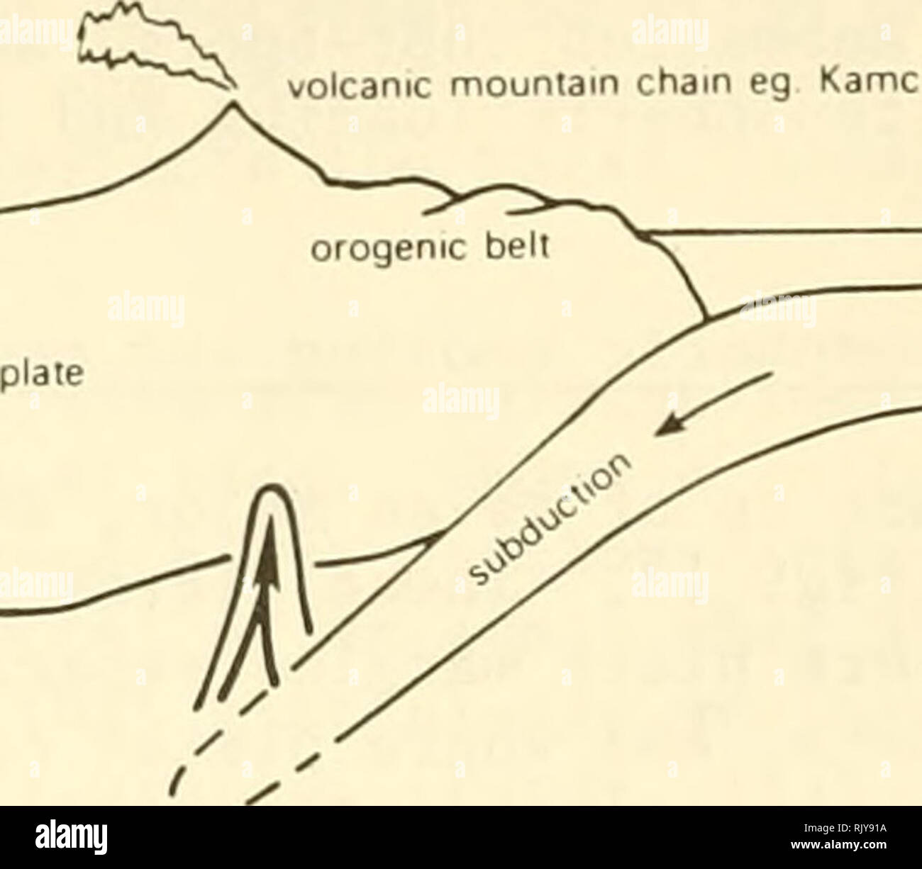 subduzione oceanica oceanica