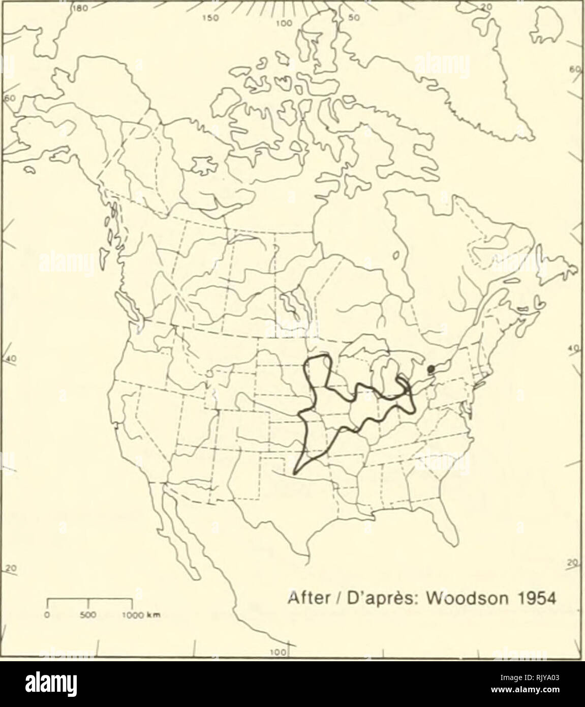 . Atlas delle rare piante vascolari di Ontario. Piante rare; Botanica. Campioni / Spécimens può. DAG, prosciutto. MICH, MT, OAC, PFM, TRT, UWO, WAT O Pre 1925 (D 1925-1949 • 1950-1964 • POSM964. HABITAT: prati umidi e praterie. Stato: Rare in Canada. Minacciati in Michigan, min- nesota, e Wisconsin; raro in Sud Dakota. HABITAT: Prés et praterie humides. Situazione: Rare au Canada. Menacée au Michigan, au Minnesota, et au Wisconsin; rare au Dakota du Sud. Riferimenti / Fonti Fox, W.S. 1944. Campo botanico note - estate del 1943. Canadian Field-Naturalist 58:10-11. Woodson, R.E., Jr. 1954. Il N Foto Stock