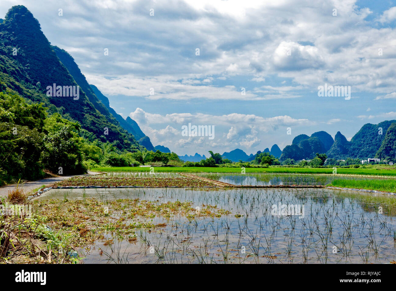 La regione di Guilin terrazze di riso, Cina Foto Stock