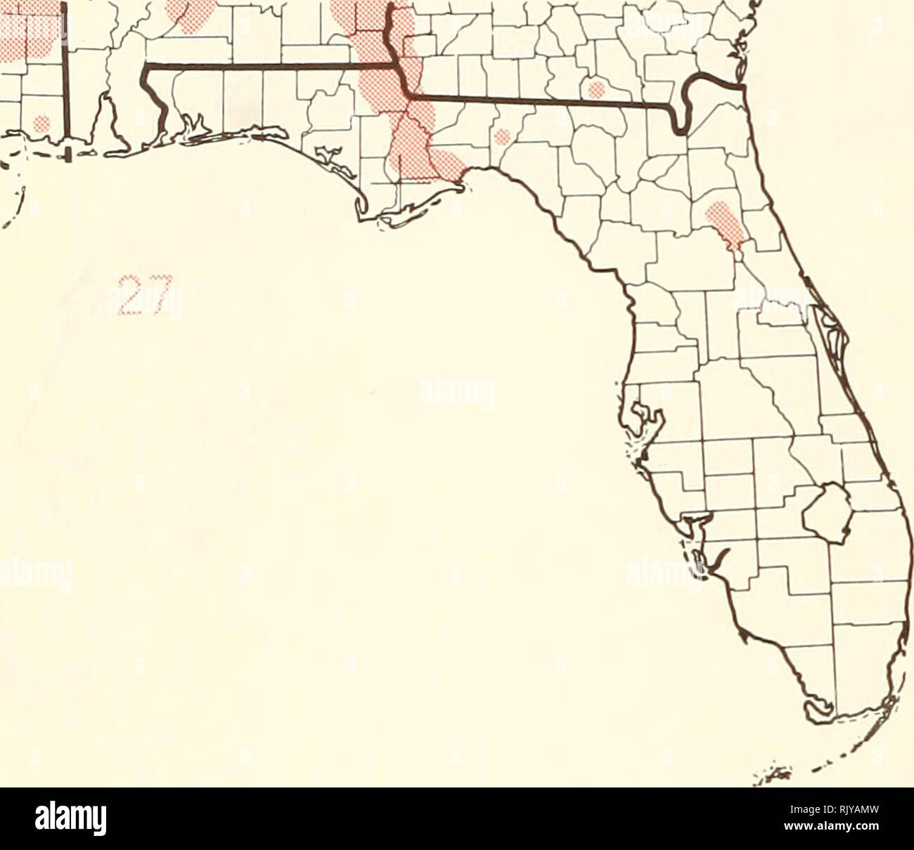 . Atlante degli Stati Uniti alberi: volume 5. Florida. Alberi. . Si prega di notare che queste immagini vengono estratte dalla pagina sottoposta a scansione di immagini che possono essere state migliorate digitalmente per la leggibilità - Colorazione e aspetto di queste illustrazioni potrebbero non perfettamente assomigliano al lavoro originale. Poco, Elbert L. (Elbert Luther), 1907-2004; Stati Uniti. Forest Service. Washington, D. C. : U. S. Dipartimento dell'Agricoltura, Servizio di Foresta Foto Stock