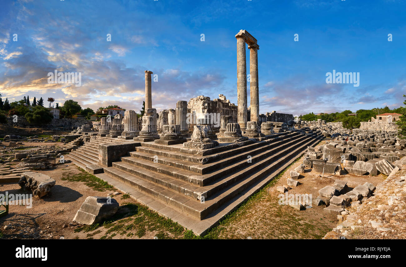 Immagine dei passaggi e colonne delle rovine dell' Antica Grecia Ionica Didyma Tempio di Apollo e home per l'oracolo di Apollo. Noto anche come il Di Foto Stock