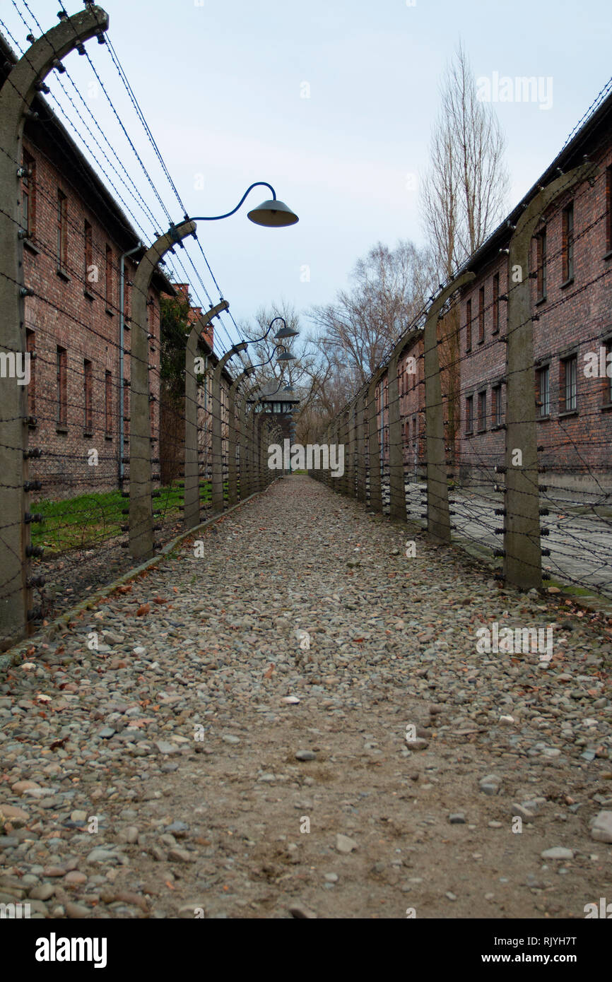 Filo spinato a Autschwitz campo di concentramento Foto Stock