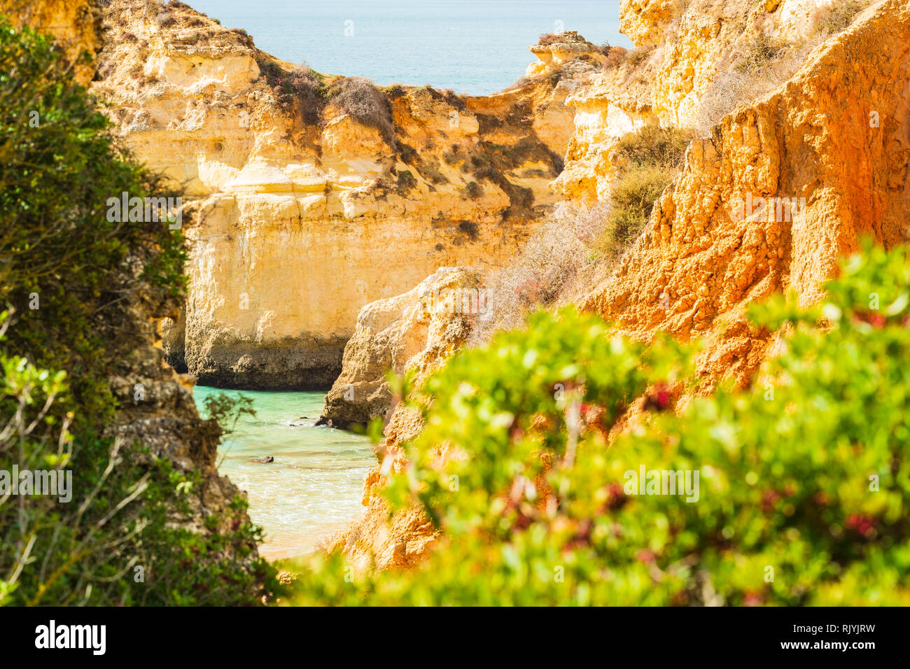 Guardando attraverso gli alberi verso soleggiati scogliera Alvor, Algarve, Portogallo, Europa Foto Stock