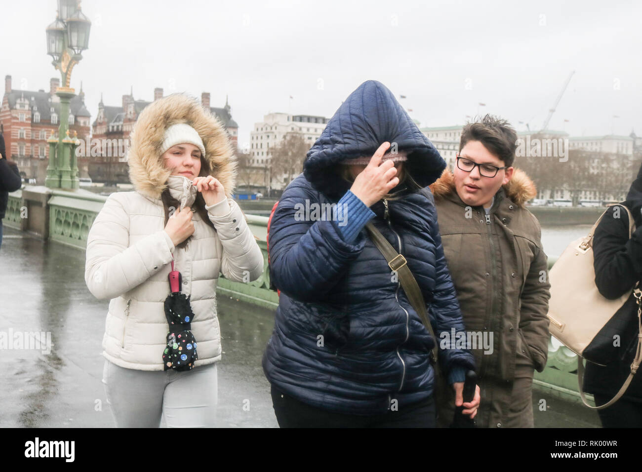 Londra, Regno Unito. 8 febbraio, 2019. Pedoni sul Westminster Bridge brave forte vento e pioggia da Storm Erik Credito: amer ghazzal/Alamy Live News Foto Stock