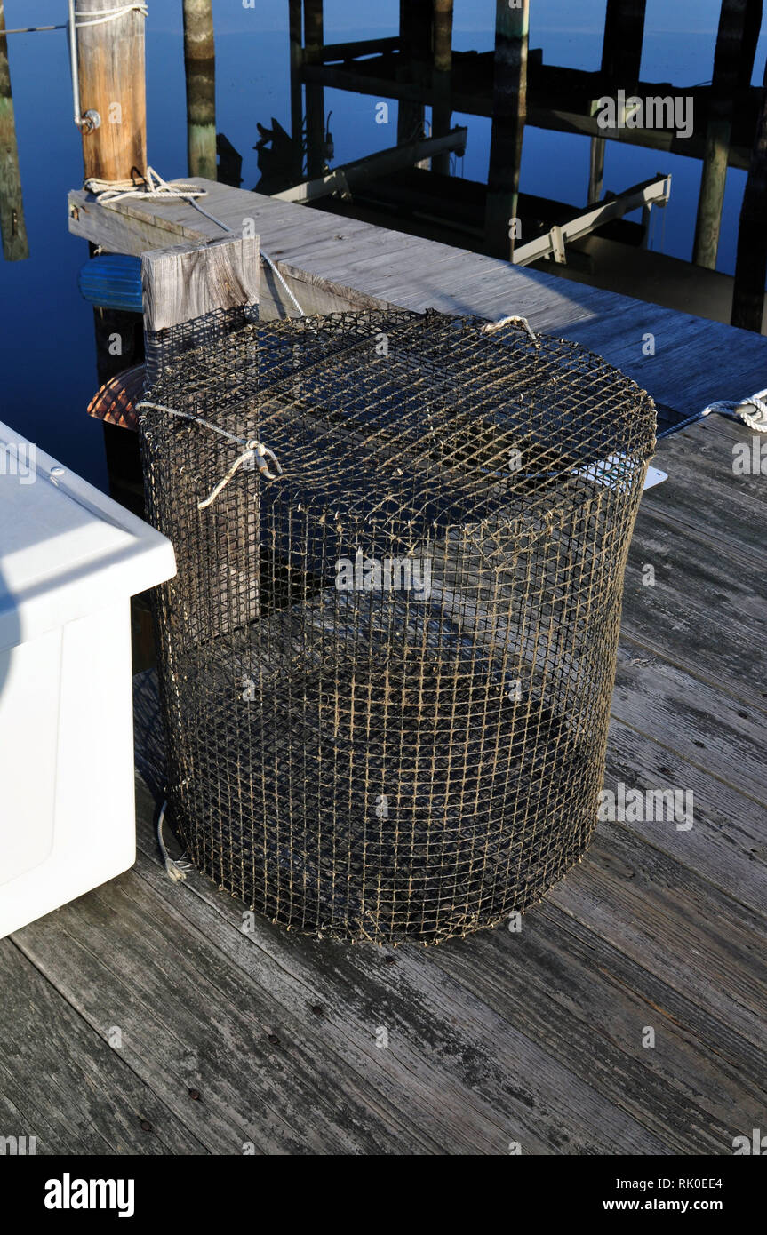 Un granchio cesto su un dock Foto Stock