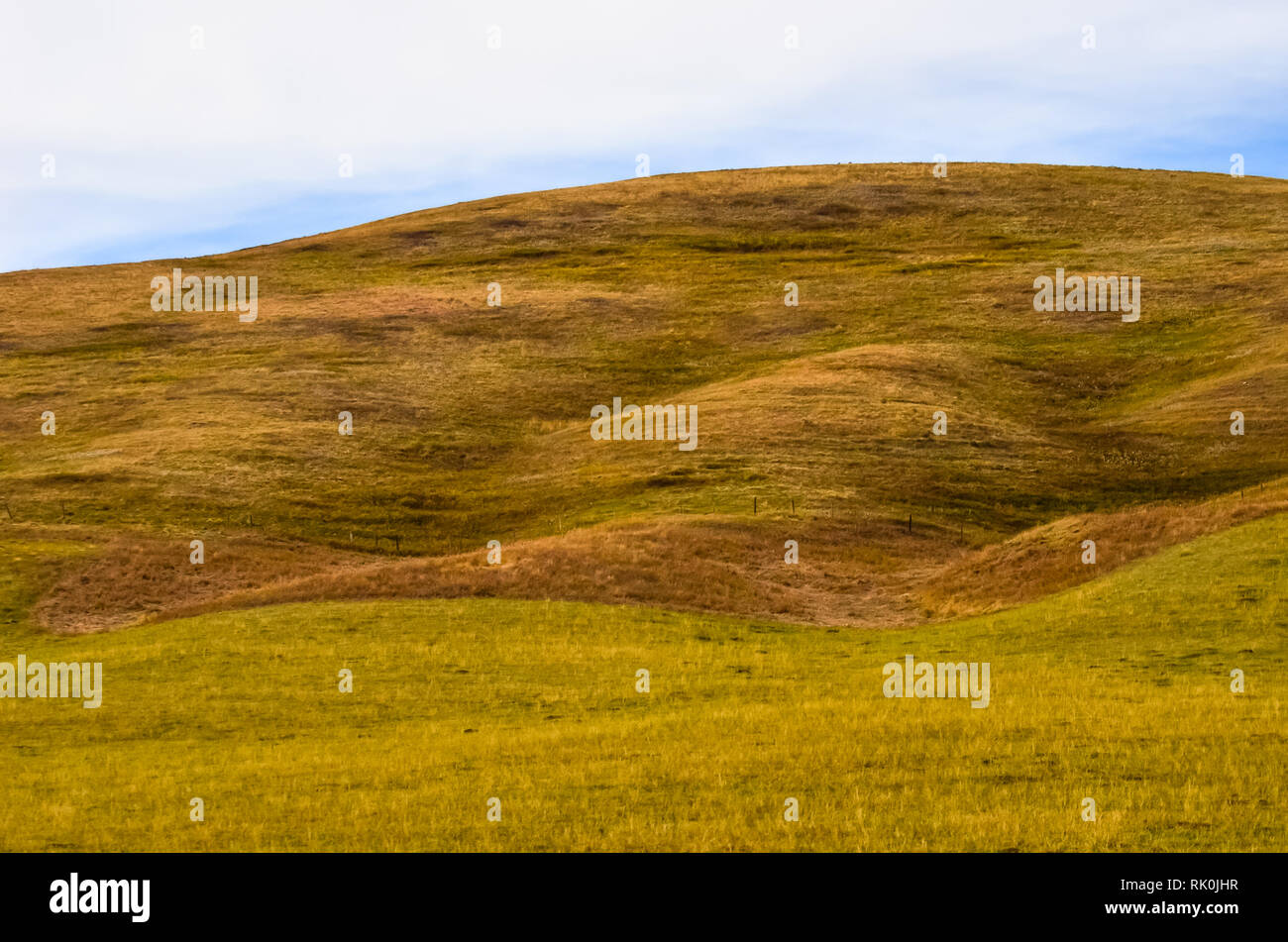 Le colline di Alberta, Canada Foto Stock