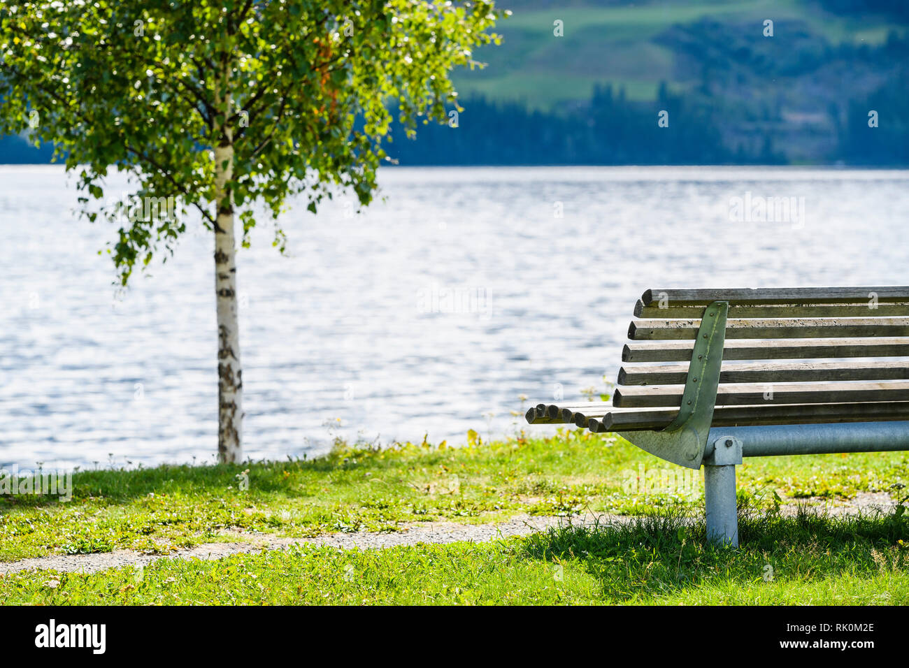 Svuotare una panchina nel parco e unico albero dal fiordo, Aurland, Norvegia, Europa Foto Stock