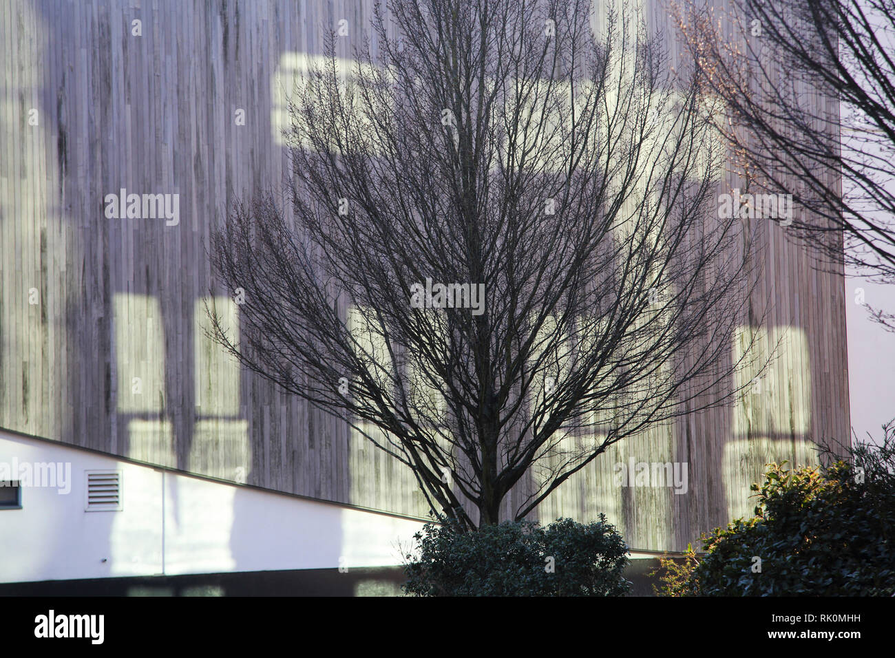Ocean Village Southampton Inghilterra riflessione sull'Harbour Lights Picture House assomiglia ad un angelo del Nord Foto Stock