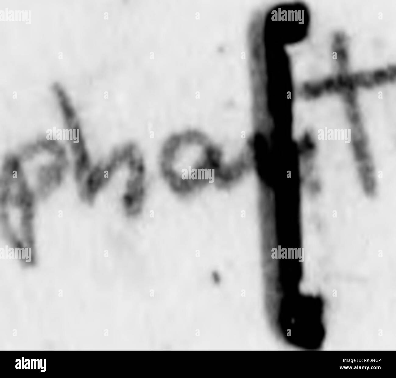 . Arthur e Fritz Kahn 1889-1932 di raccolta. Kahn, Fritz 1888-1968; Kahn, Arthur David 1850-1928; Storia Naturale illustratori; storia naturale. - ADsoiuxxy woriea UN EARTHQUAKB TETTONICI COME DESCRITTO BT un salmo-POETA 1500 anni più tardi è sempre molto interessante confrontare il trattamento della sama tema in vari periodi^^o istanza, il Tristano e Isotta movente del primo medio-ftges e RloTiarrl Wagner* s treatmen"fr^, o "Play ^Ä del Dottor Faust*" e B&amp;r Gofe i trattati. La Bibbia offre molti comparislonsof questo l^ind. Ahout 1^00 anni dopo wmmm genesi Foto Stock